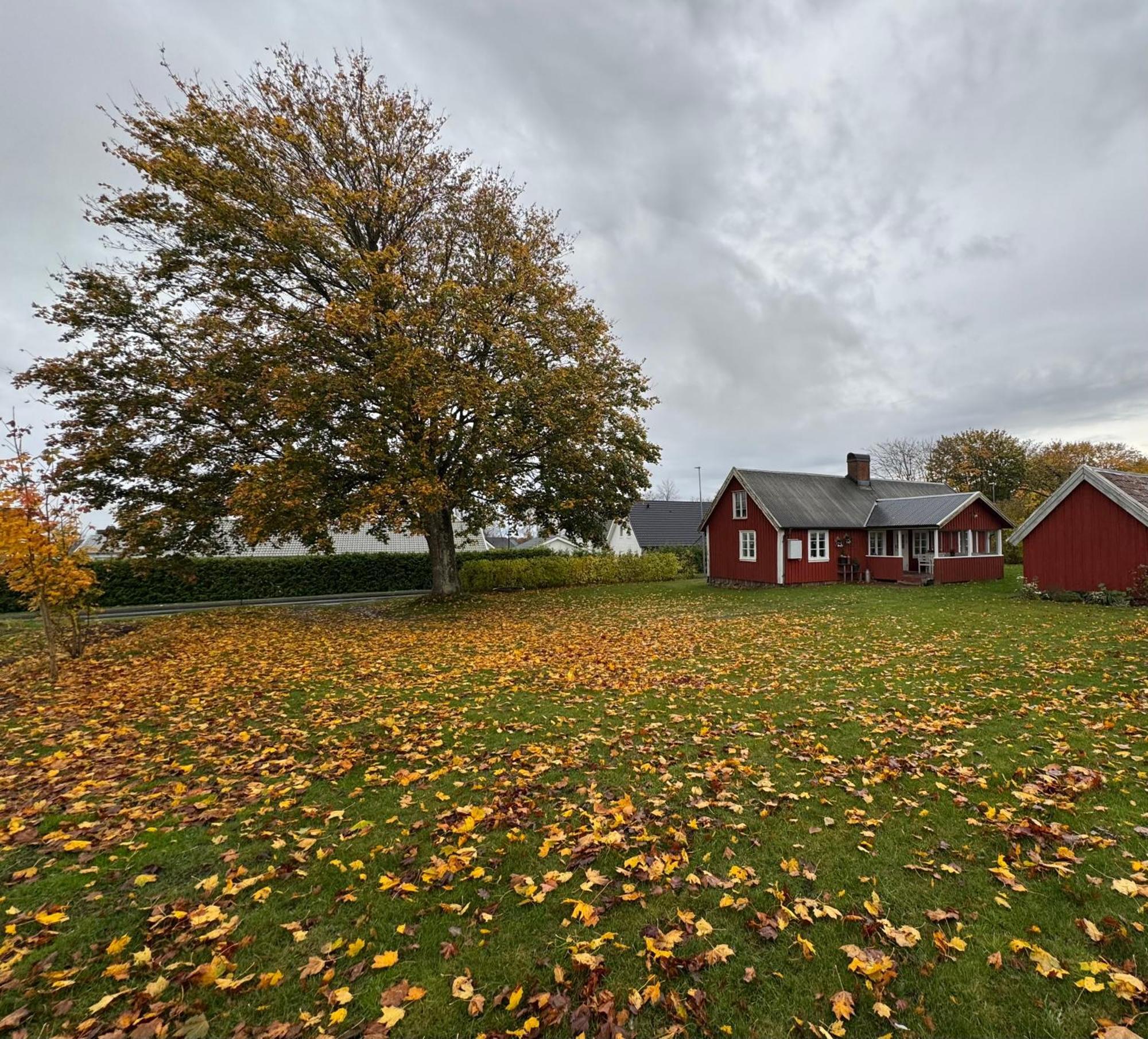 Stora Loenn Vila Falkenberg Exterior foto